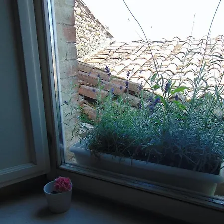 Holiday home Montalcinello Casavolta Wifi, Aria Condizionata